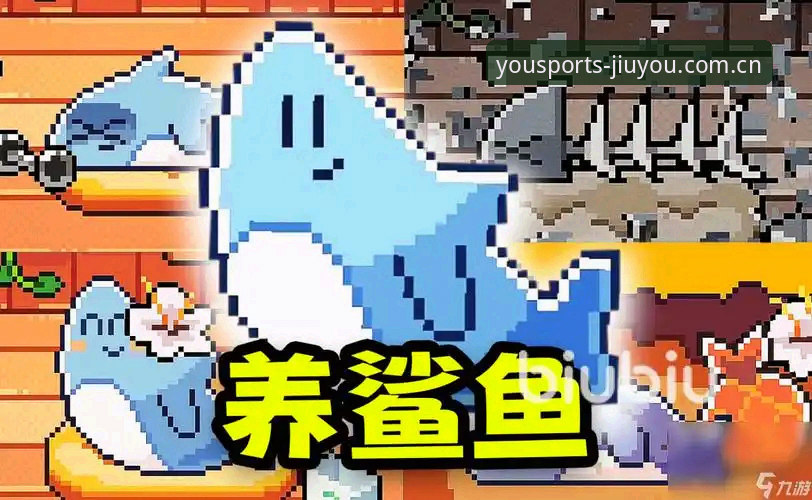 九游体育靠谱吗教程详解：从下载到使用的完整经验分享